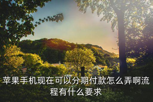 蘋果手機(jī)現(xiàn)在可以分期付款怎么弄啊流程有什么要求