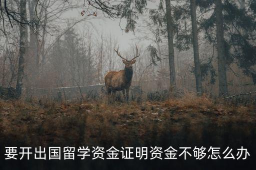 要開出國(guó)留學(xué)資金證明資金不夠怎么辦