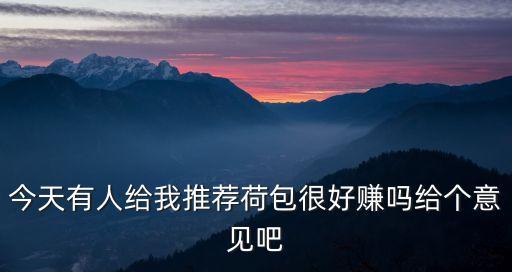 今天有人給我推薦荷包很好賺嗎給個意見吧