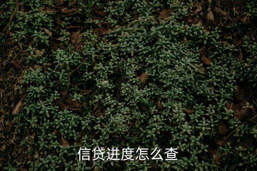 信貸進度怎么查