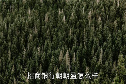 招商銀行朝朝盈怎么樣