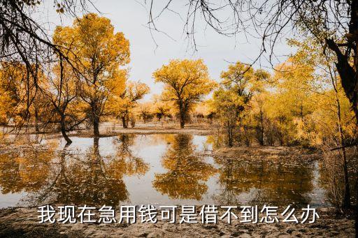 馬上有錢怎么借不出來，我現(xiàn)在急用錢可是借不到怎么辦