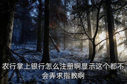 農(nóng)行掌上銀行怎么注冊(cè)啊顯示這個(gè)都不會(huì)弄求指教啊
