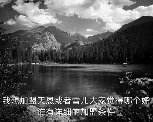 怎么加入天恩世誠，我想加盟天恩或者雪兒大家覺得哪個好誰有詳細的加盟條件