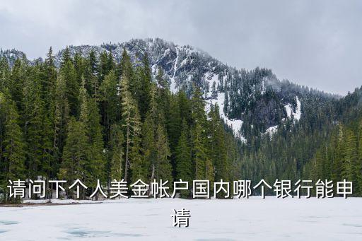 怎么辦外幣信用卡，國際銀行卡怎么辦理