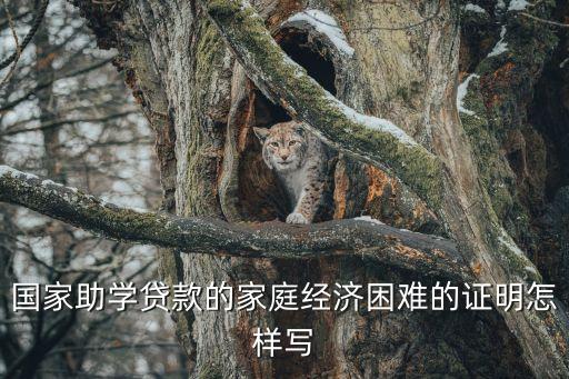 上學(xué)貸款證明怎么寫，國(guó)家助學(xué)貸款的家庭經(jīng)濟(jì)困難的證明怎樣寫