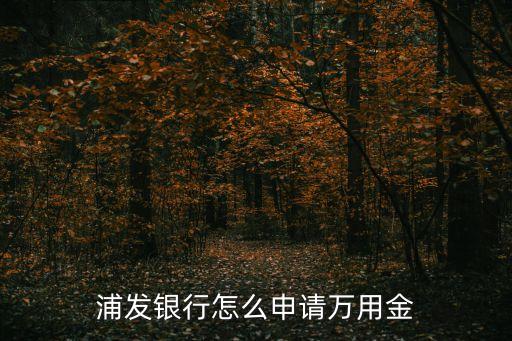 浦發(fā)信用卡備用金怎么申請，浦發(fā)銀行怎么申請萬用金