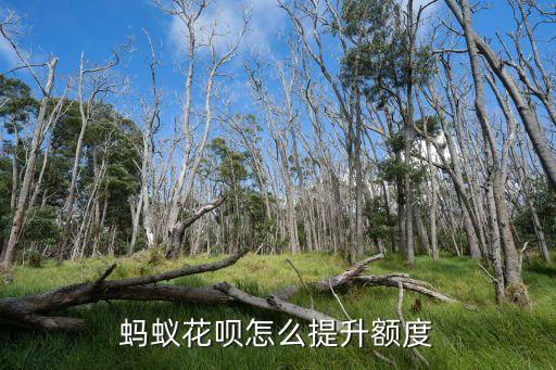 螞蟻花怎么提高額度，螞蟻花唄怎么提高額度