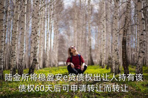 陸金所穩(wěn)盈安e怎么收費(fèi)，申請陸金所穩(wěn)盈e享計劃服 務(wù)需要支付什么費(fèi)用嗎