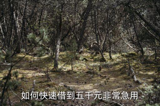 容易借錢怎么借5000，如何快速借到五千元非常急用