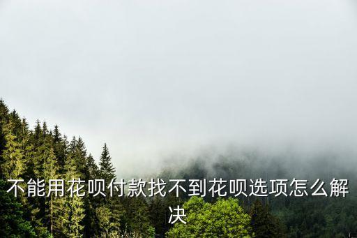 不能用花唄付款找不到花唄選項怎么解決