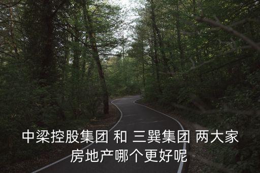 中梁控股集團(tuán) 和 三巽集團(tuán) 兩大家房地產(chǎn)哪個(gè)更好呢