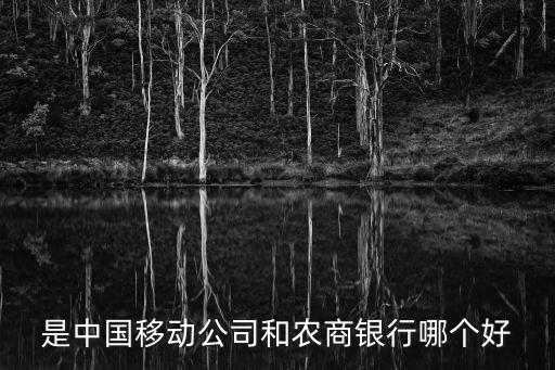 農(nóng)商銀行實(shí)力怎么樣，是中國(guó)移動(dòng)公司和農(nóng)商銀行哪個(gè)好