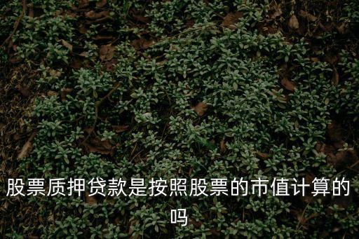 股份質(zhì)押錢怎么算，非上市公司股權(quán)質(zhì)押價(jià)格怎么定