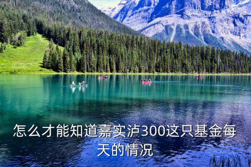 嘉實(shí)300怎么看，嘉實(shí)300基金如何
