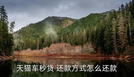 車秒貸逾期會怎么樣，花唄馬上還錢漲多少芝麻信用分