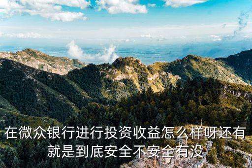 微眾銀行 怎么投資人，在微眾銀行進(jìn)行投資收益怎么樣呀還有就是到底安全不安全有沒