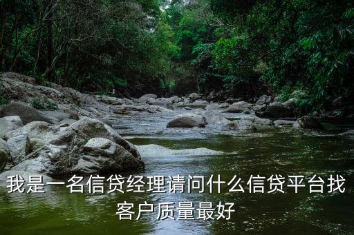 我是一名信貸經(jīng)理請問什么信貸平臺找客戶質(zhì)量最好