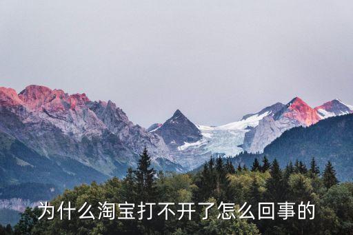 淘寶突然不能用了怎么回事，淘寶不能用了是怎么回事上去點(diǎn)一下就這樣子了如圖