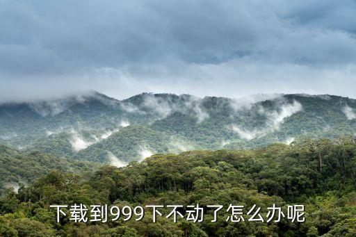 下載到999下不動(dòng)了怎么辦呢