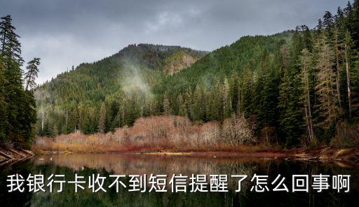 銀行卡接不到短信驗證碼是怎么回事，銀行卡沒有通過短信驗證怎么回事