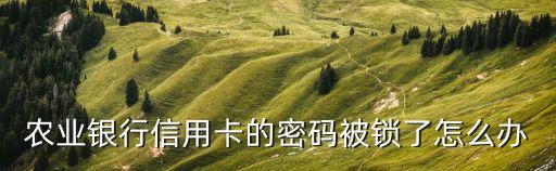 農(nóng)業(yè)銀行信用卡的密碼被鎖了怎么辦