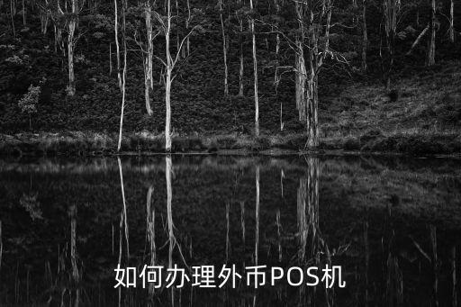 如何辦理外幣POS機