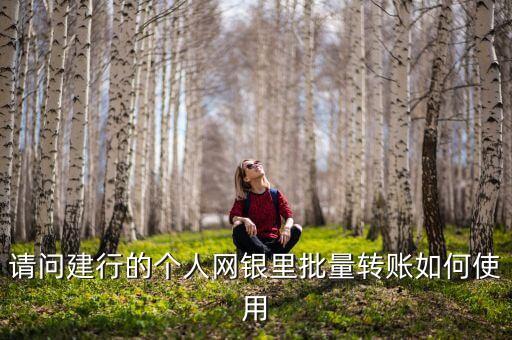 請問建行的個人網銀里批量轉賬如何使用