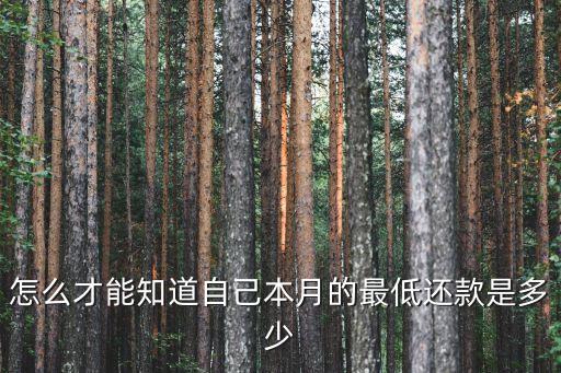 怎么才能知道自己本月的最低還款是多少