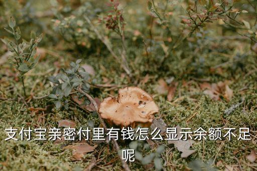 親密付余額不足怎么辦，支付寶親密付里有錢怎么顯示余額不足呢