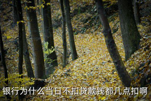 銀行為什么當(dāng)日不扣貸款錢都幾點(diǎn)扣啊