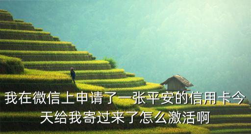 平安公務(wù)卡怎么激活，平安銀行信用卡怎么激活