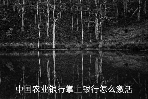 中國農(nóng)業(yè)銀行掌上銀行怎么激活