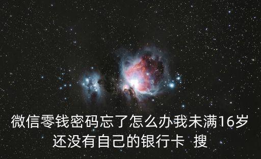 微信零錢密碼忘了怎么辦我未滿16歲還沒有自己的銀行卡  搜