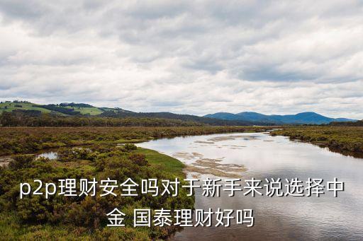 p2p理財(cái)安全嗎對(duì)于新手來(lái)說(shuō)選擇中金 國(guó)泰理財(cái)好嗎