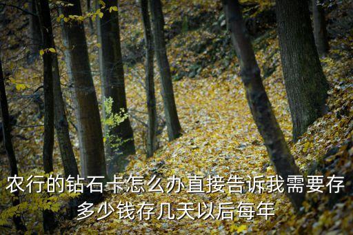 貴賓鉆石卡怎么辦，銀行貴賓卡怎么辦