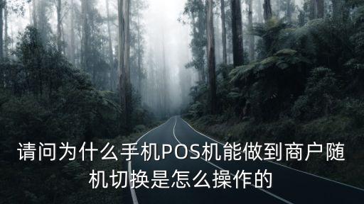請問為什么手機(jī)POS機(jī)能做到商戶隨機(jī)切換是怎么操作的