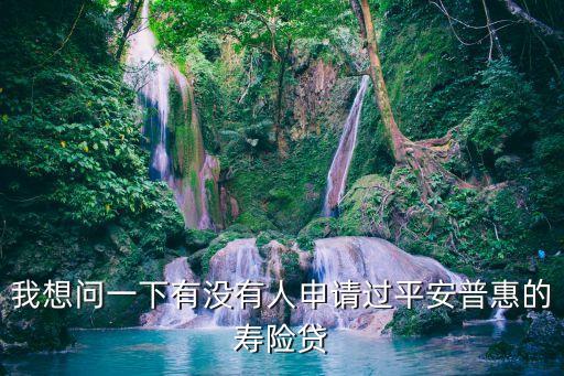 我想問一下有沒有人申請過平安普惠的壽險貸
