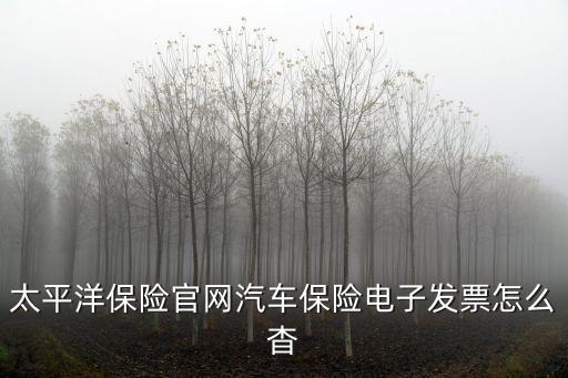太平洋保險(xiǎn)官網(wǎng)汽車保險(xiǎn)電子發(fā)票怎么杳
