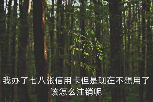 我辦了七八張信用卡但是現(xiàn)在不想用了該怎么注銷呢