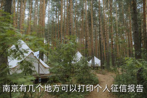 南京征信報(bào)告怎么辦理，南京有幾個(gè)地方可以打印個(gè)人征信報(bào)告