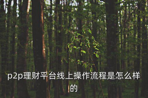 p2p融資怎么操作，怎么實(shí)現(xiàn)p2p融資