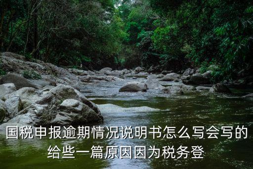 逾期申報的說明怎么寫，1公司因未申報稅的納稅說明怎樣寫