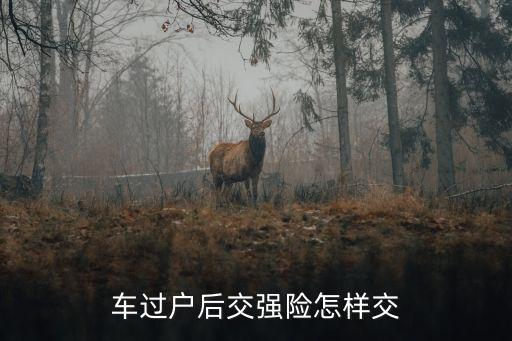 賣車的時候保險怎么辦，購買二手車交強險怎么過戶