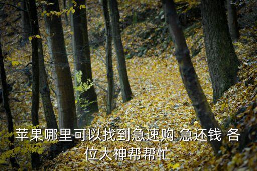蘋果官網(wǎng)分期怎么弄啊，蘋果手機(jī)現(xiàn)在可以分期付款怎么弄啊流程有什么要求