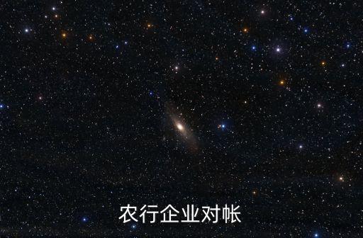 農(nóng)業(yè)企業(yè)用戶怎么對賬，農(nóng)業(yè)銀行企業(yè)網(wǎng)銀怎么對賬