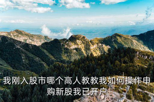 我剛?cè)牍墒心膫€(gè)高人教教我如何操作申購(gòu)新股我已開(kāi)戶