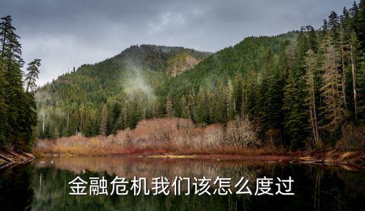 金融危機我們該怎么度過