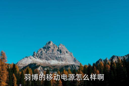 y power怎么樣，羽博的移動電源怎么樣啊