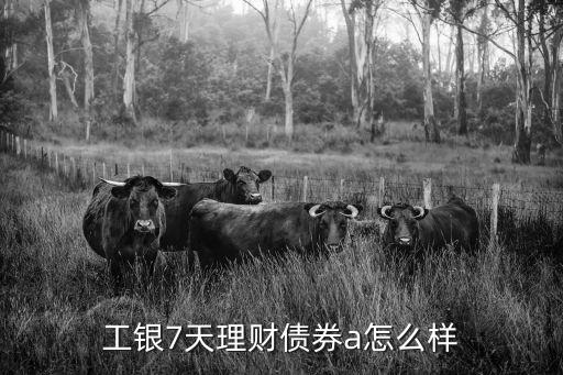 工銀七天理財a怎么樣啊，誰辦過中國工商銀行辦的工銀瑞信7天理財債卷型證劵投資基金A類